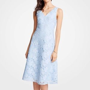 Blue floral lace dress